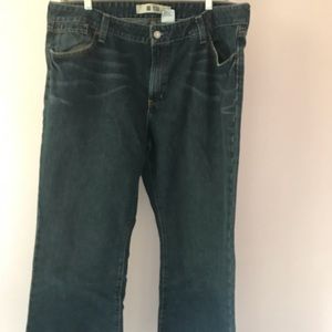 Gap Plus Size Original Flare Jeans